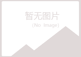 金山区冰露会计有限公司